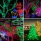 3W Green Solar Christmas String Lights 200 LED Waterproof Fairy Lights For Patio Garden